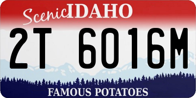 ID license plate 2T6016M