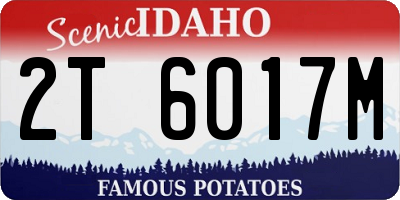 ID license plate 2T6017M