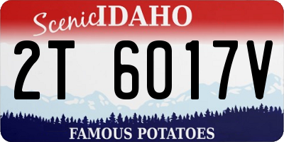 ID license plate 2T6017V