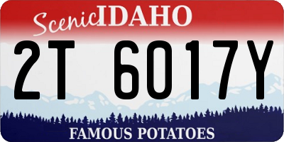 ID license plate 2T6017Y