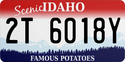 ID license plate 2T6018Y