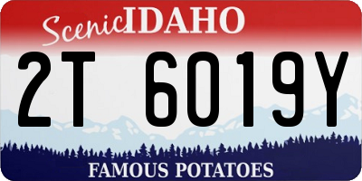 ID license plate 2T6019Y