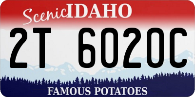 ID license plate 2T6020C