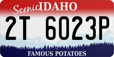 ID license plate 2T6023P