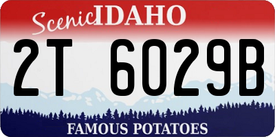 ID license plate 2T6029B