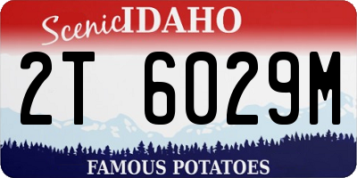 ID license plate 2T6029M
