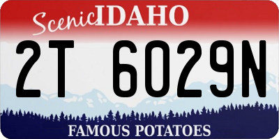 ID license plate 2T6029N