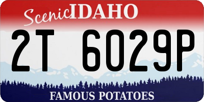 ID license plate 2T6029P
