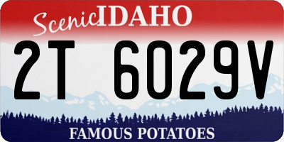 ID license plate 2T6029V