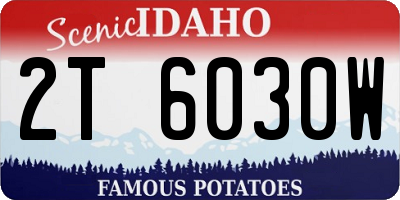 ID license plate 2T6030W