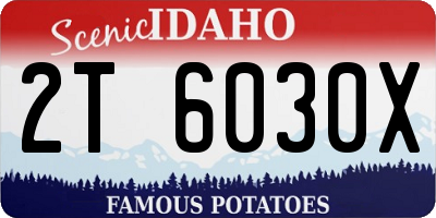 ID license plate 2T6030X