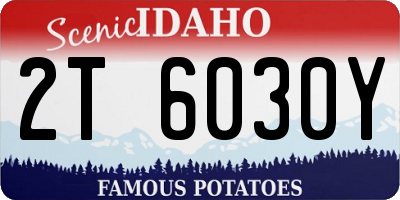 ID license plate 2T6030Y