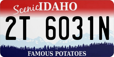 ID license plate 2T6031N