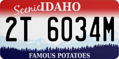 ID license plate 2T6034M