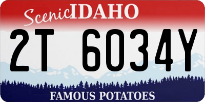 ID license plate 2T6034Y