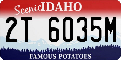 ID license plate 2T6035M