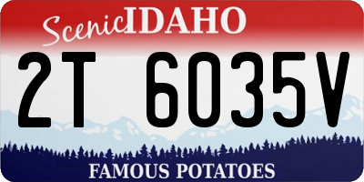 ID license plate 2T6035V