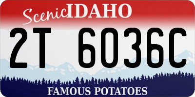ID license plate 2T6036C