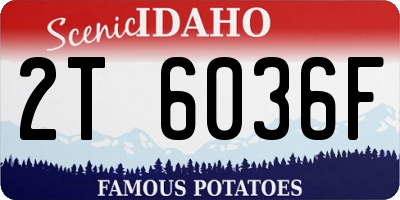 ID license plate 2T6036F