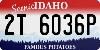 ID license plate 2T6036P