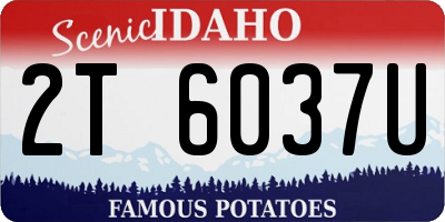 ID license plate 2T6037U