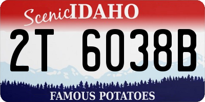 ID license plate 2T6038B