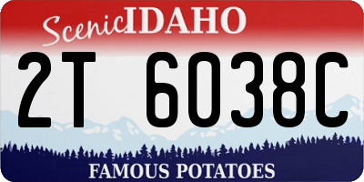 ID license plate 2T6038C