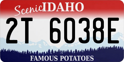 ID license plate 2T6038E