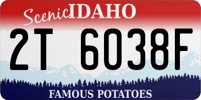 ID license plate 2T6038F