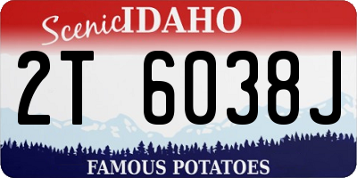 ID license plate 2T6038J