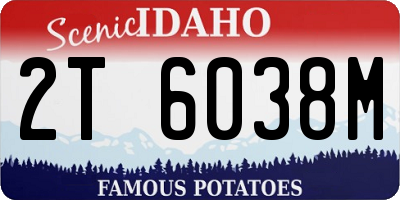 ID license plate 2T6038M