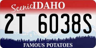 ID license plate 2T6038S