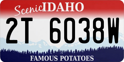 ID license plate 2T6038W