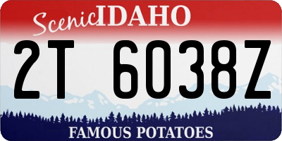 ID license plate 2T6038Z
