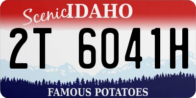ID license plate 2T6041H