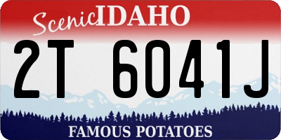 ID license plate 2T6041J