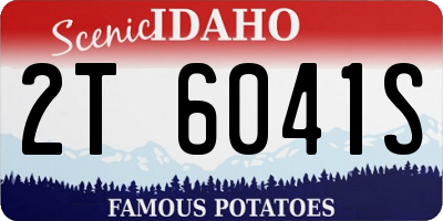 ID license plate 2T6041S