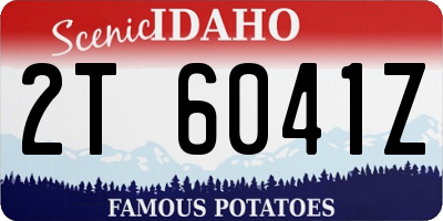 ID license plate 2T6041Z