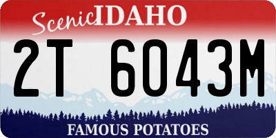 ID license plate 2T6043M