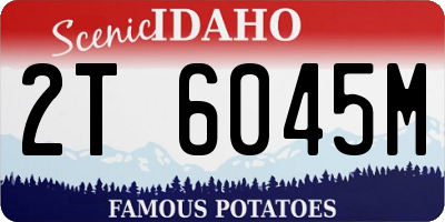 ID license plate 2T6045M
