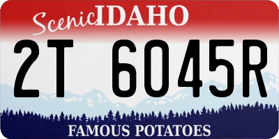 ID license plate 2T6045R