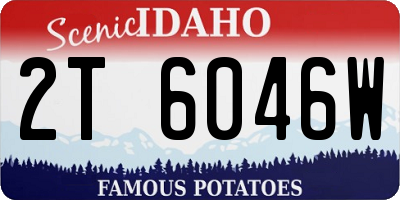 ID license plate 2T6046W