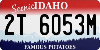 ID license plate 2T6053M