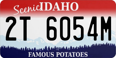 ID license plate 2T6054M