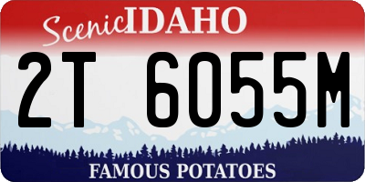 ID license plate 2T6055M