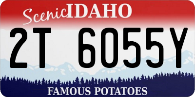 ID license plate 2T6055Y