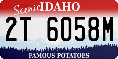ID license plate 2T6058M