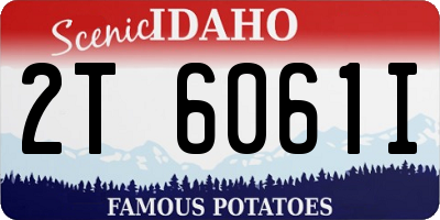 ID license plate 2T6061I