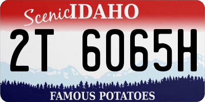 ID license plate 2T6065H