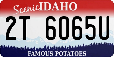 ID license plate 2T6065U